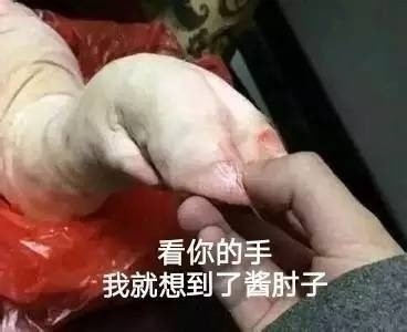想握着你的手对你说！这套猪爪表情包太会撩了