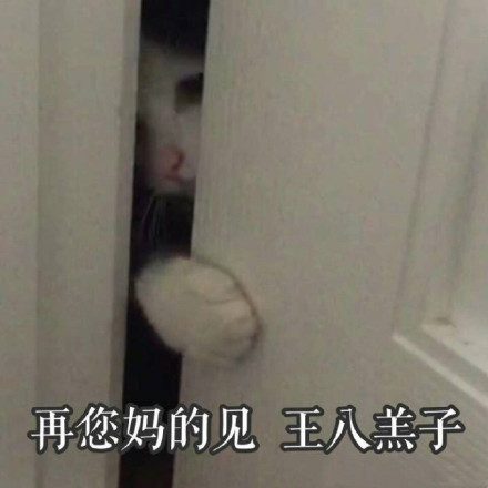 今天聊天用啥表情？这份热门表情包合集收好啦