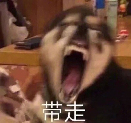 打工人必备！食堂大妈专属斗图表情包来啦