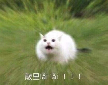 怼人又不凶！温柔骂人表情包第二弹来了，你是头居！