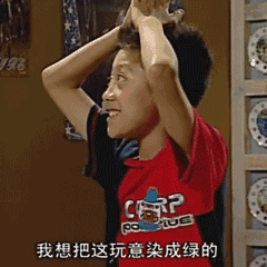 《家有儿女》刘星经典动图合集