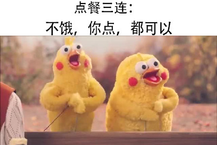 鹦鹉兄弟出新三连表情包啦！