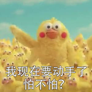 鹦鹉兄弟这套表情包主打暴躁吐槽！