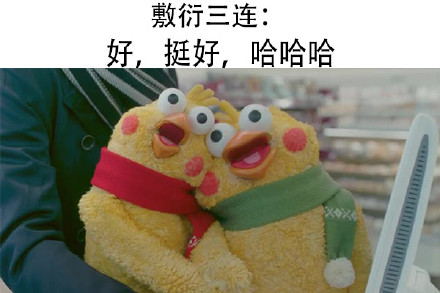 鹦鹉兄弟出新三连表情包啦！