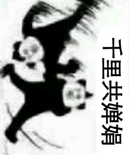 把《水调歌头》改成武功秘籍？这套熊猫头表情包火了