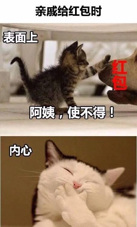 “是本人了”系列表情包火了！这套猫咪内涵表情太真实