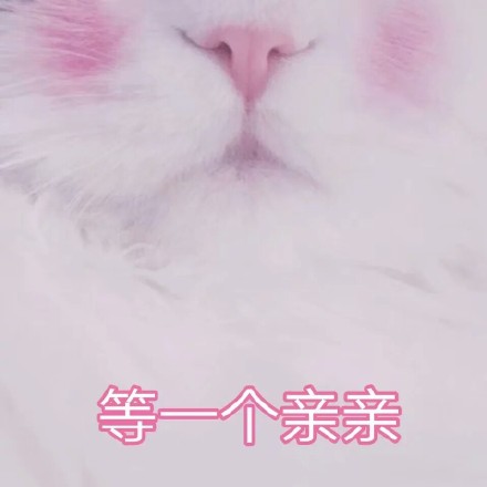 谁懂啊！这组软fufu的猫咪表情包太治愈了