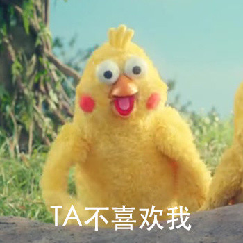 被气到的鹦鹉兄弟表情包来啦