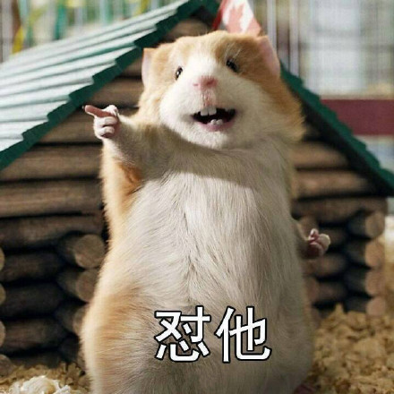 站立小老鼠喊你怼人！这套表情包火了