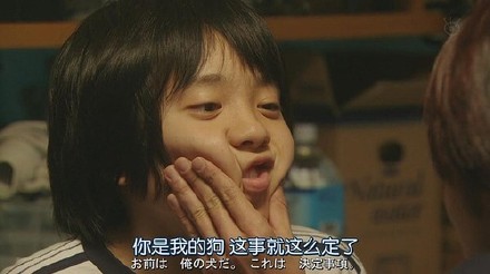 超实用台词截图表情包合集