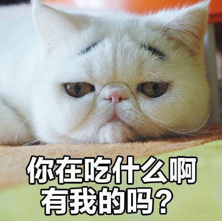 “我没有不开心”的喵咪丧气表情包来啦