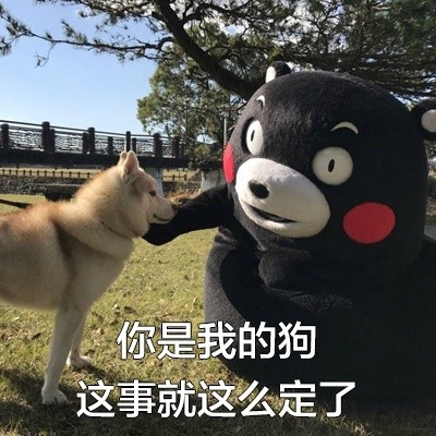 用熊本熊撩妹撩汉？这套表情包太会了