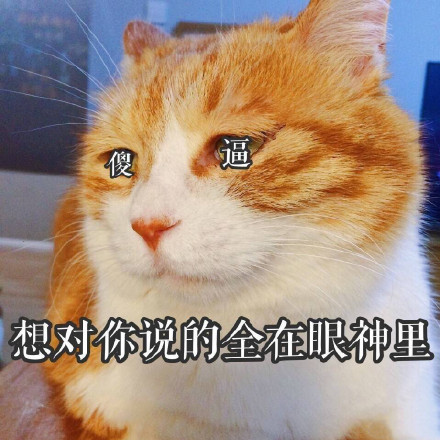 聊天斗图不用愁！这份热门精选表情包收好啦