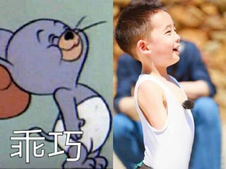 Jasper小小春表情包来啦！软萌模样直接戳中人心