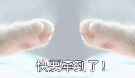 喵星人牵手表情包来啦！这套萌趣表情还原了从牵手成功到失败的全过程，适合用来玩梗互动。