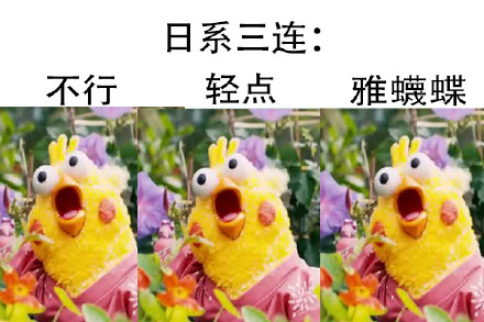鹦鹉兄弟出新三连表情包啦！