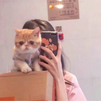 女生抱猫咪QQ头像合集！10张高清好看的真人头像图