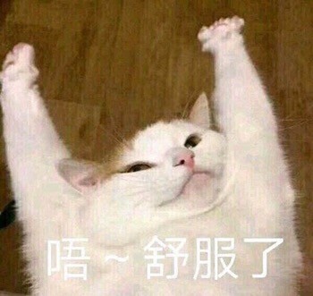 这套猫咪表情包太上头！爱吸猫的快存