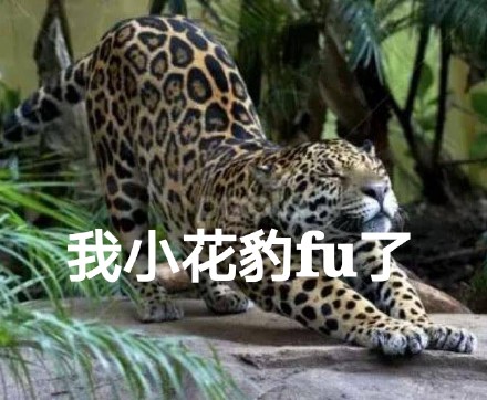 “我服了”表情包上新！动物版“FU”梗太有意思了
