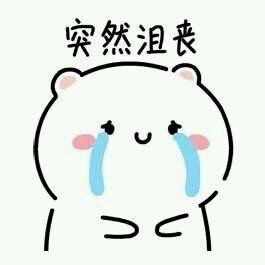 聊天斗图神器！突然系列表情包合集来啦