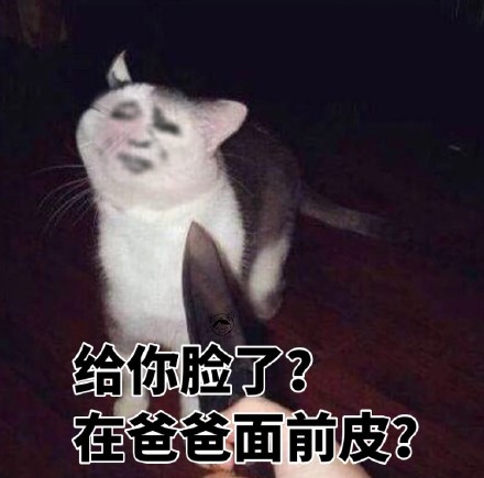 今日份斗图表情包合集来啦