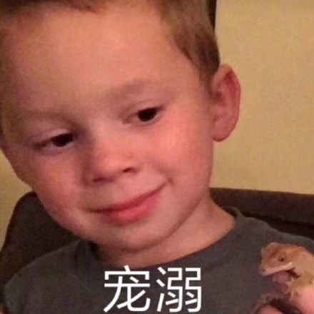 聊天斗图新素材！热门表情包第八弹来啦