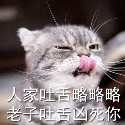 这组猫咪吐舌凶表情包，看完直接笑到打鸣