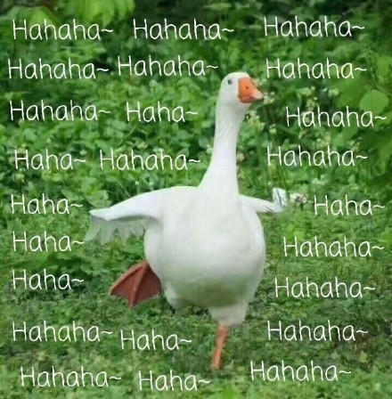 萌趣肥鹅表情包合集来啦