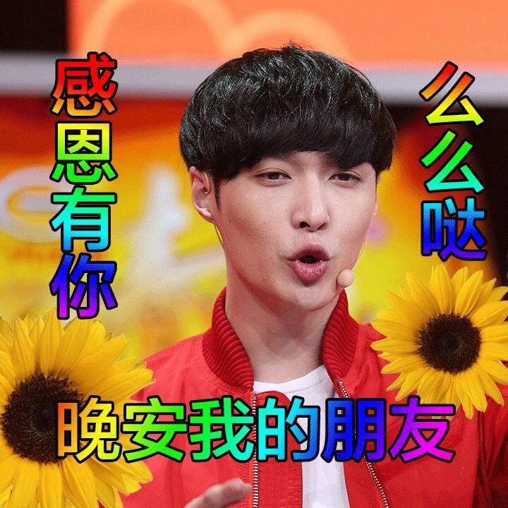 明星土味表情包合集来了