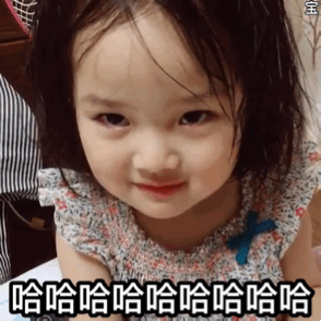 权律二实用动图表情包合集
