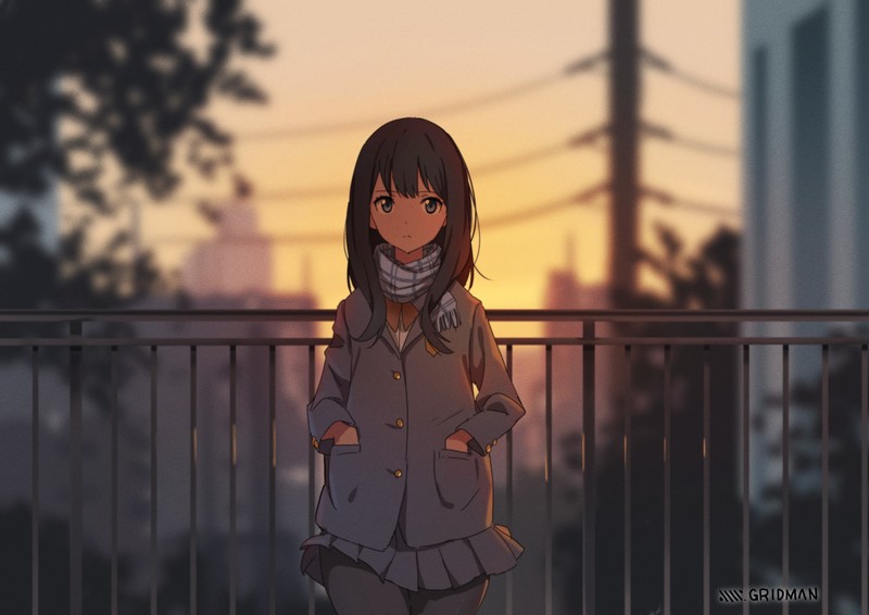 《SSSS.GRIDMAN》宝多六花绝美壁纸合集 落日氛围感拉满