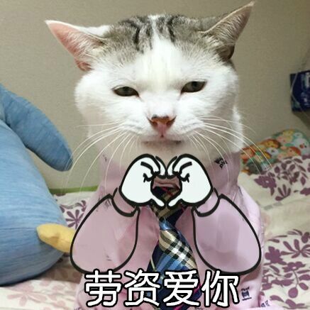 自带大哥气场的猫咪表情包来啦
