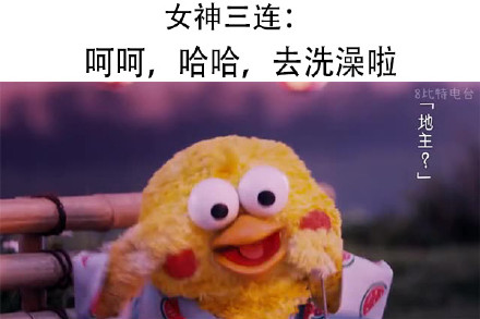鹦鹉兄弟出新三连表情包啦！