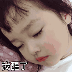 权律二萌系动图表情包合集