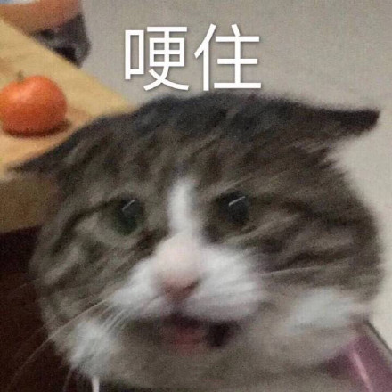 3月12日斗图表情包原图合集来了