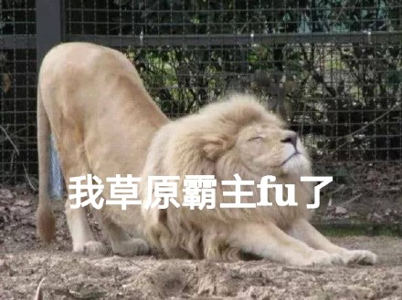 “我服了”表情包上新！动物版“FU”梗太有意思了