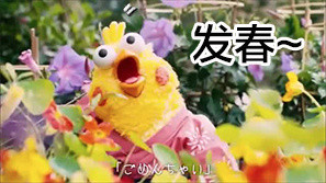 鹦鹉兄弟春药主题表情包合集