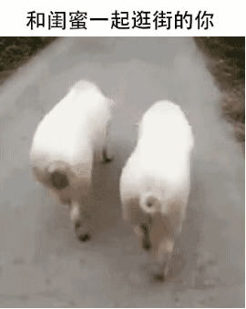 这篇内容是表情包分享网站的页面，并非传统新闻稿，我将按照要求重写呈现：