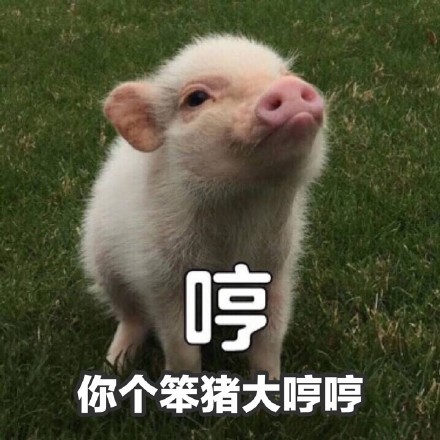怼人又不凶！温柔骂人表情包第二弹来了，你是头居！