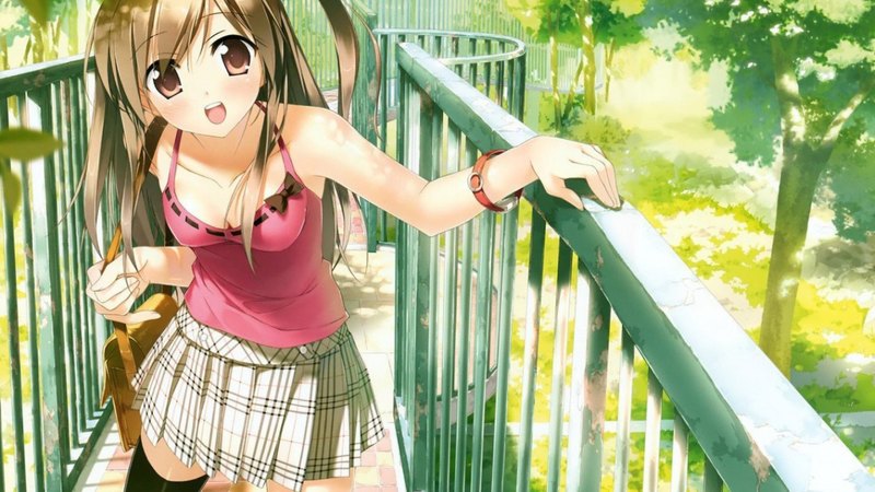动漫少女、栏杆与落叶高清壁纸