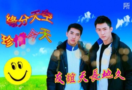 明星土味表情包合集