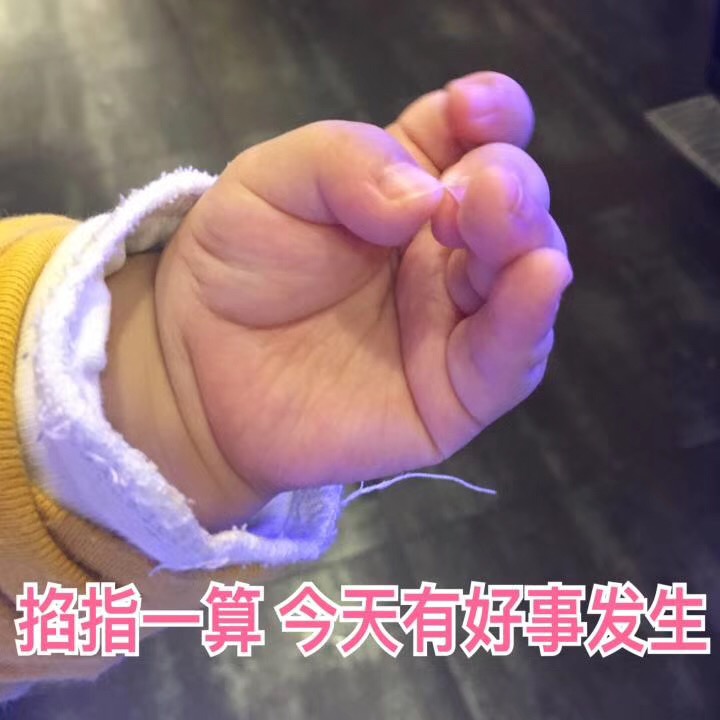 10月2日热门表情包合集来啦