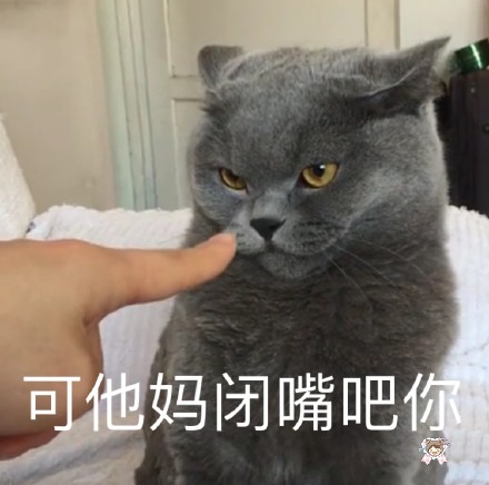 整理好的斗图杂图合集，直接存图就能用