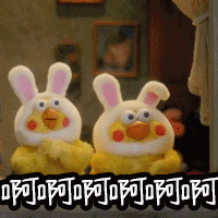 鹦鹉兄弟动图合集来啦！聊天斗图不用愁