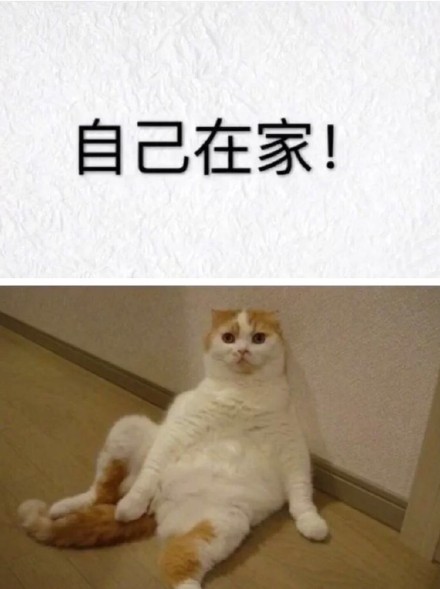 女生宅家vs见男友的样子反差有多大