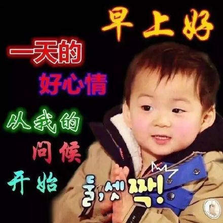 中老年土味表情包合集