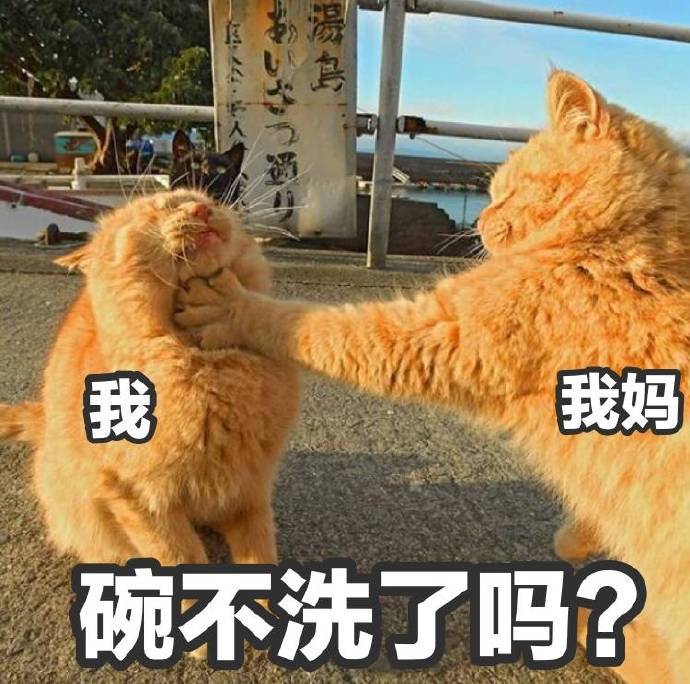 放假宅家被妈妈念叨的日常表情包