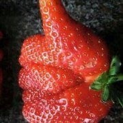 3月16日热门斗图表情包合集