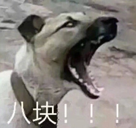 打工人必备！食堂大妈专属斗图表情包来啦
