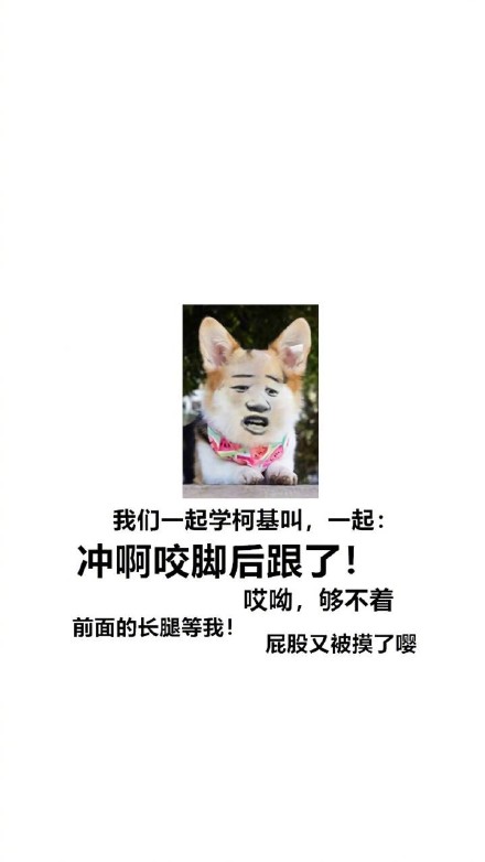 汪星人整活合集：跟着主人学叫的沙雕表情包来啦
